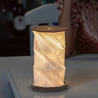 Portable LED Wood And Paper Lamp