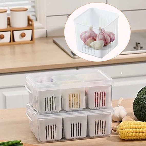 Six Portion Fruits and Vegetables Organizer