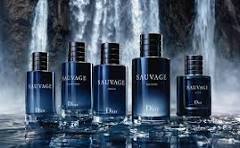 Sauvage Perfume